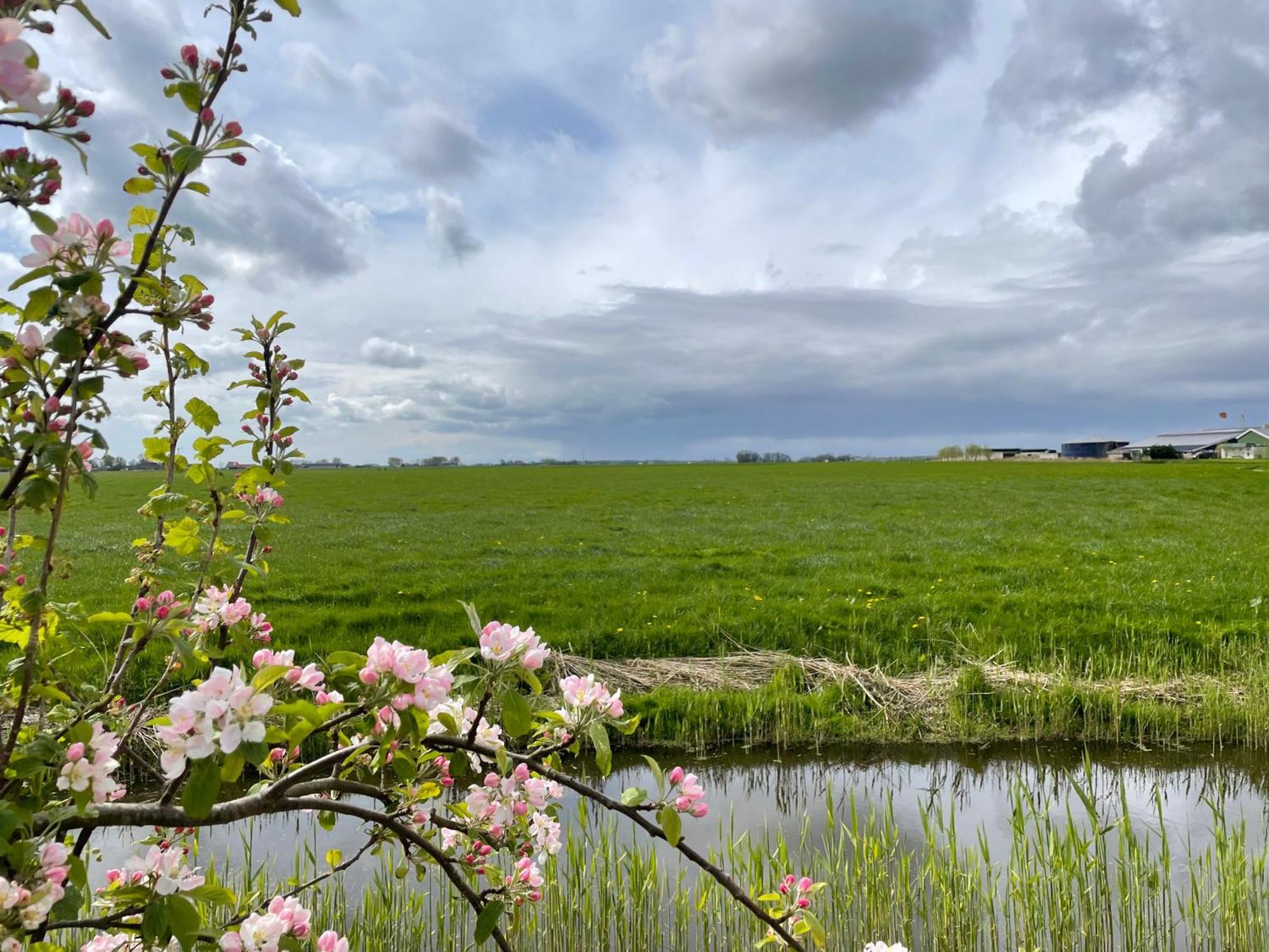 Bed And Breakfast De Salix Hitzum Zewnętrze zdjęcie